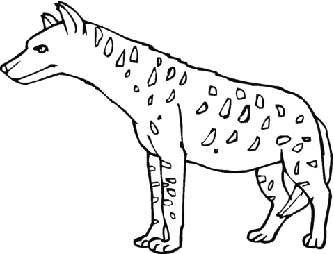 Spotted Hyena Or Tiger Wolf Coloring Page